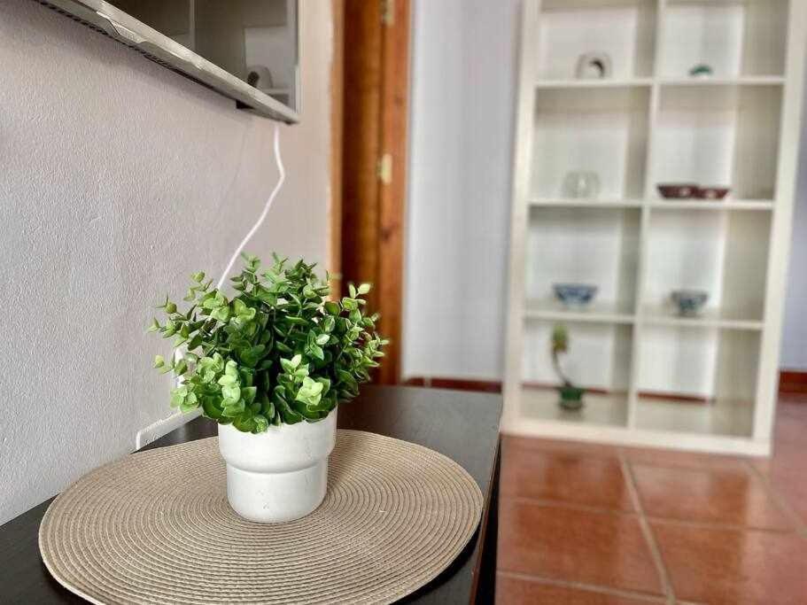 Apartamento Cerca De La Playa Torrecilla Nerja Dış mekan fotoğraf